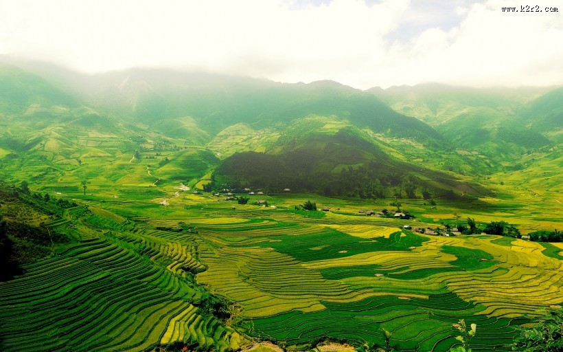 绿色的田野图片