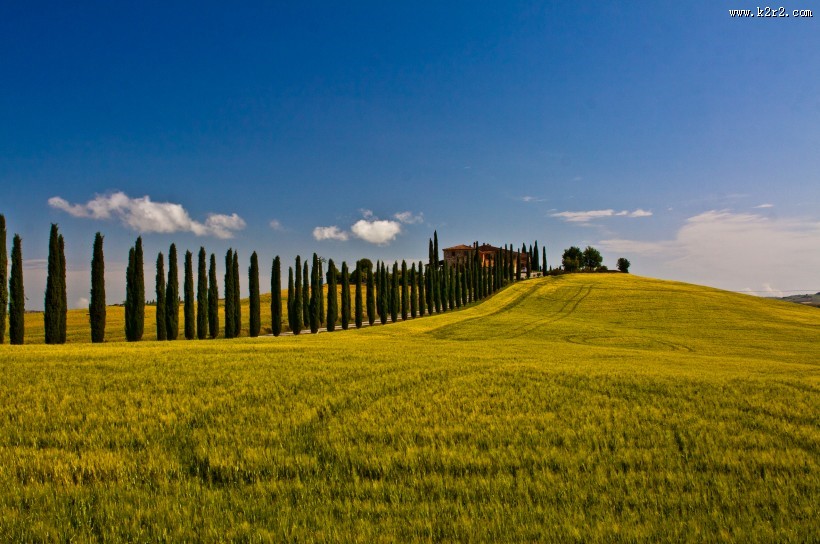 绿色的田野图片