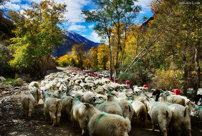 山里的秋色风景图片