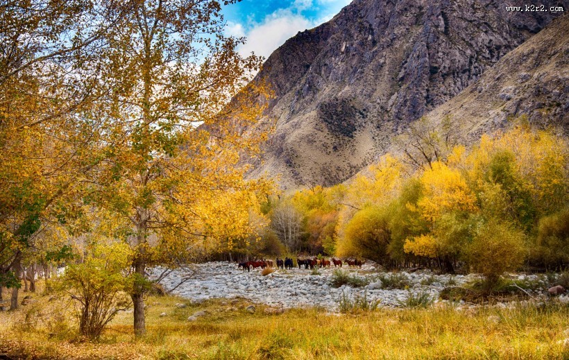 山里的秋色风景图片