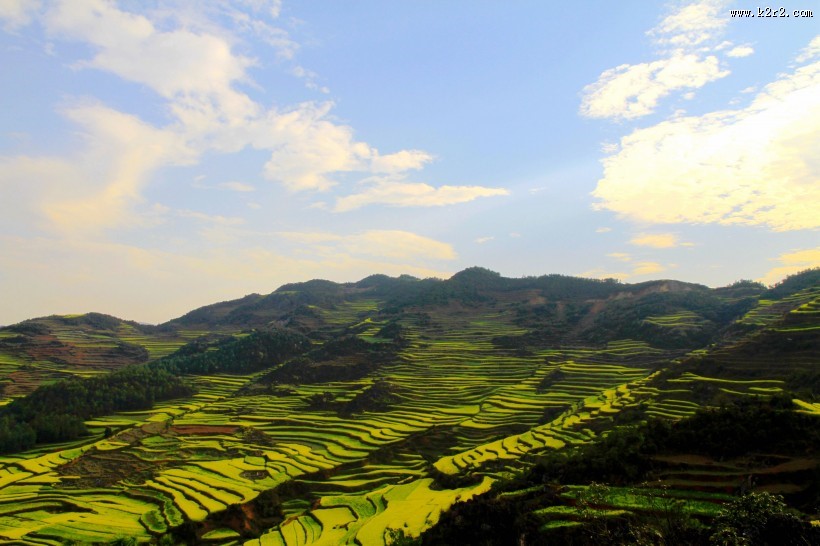 山村的田野风景图片