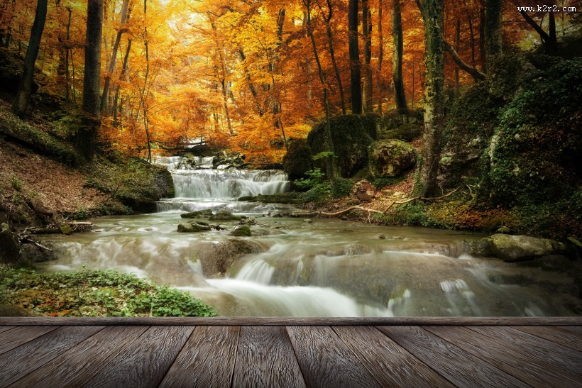 林中木桥边溪流景色图片