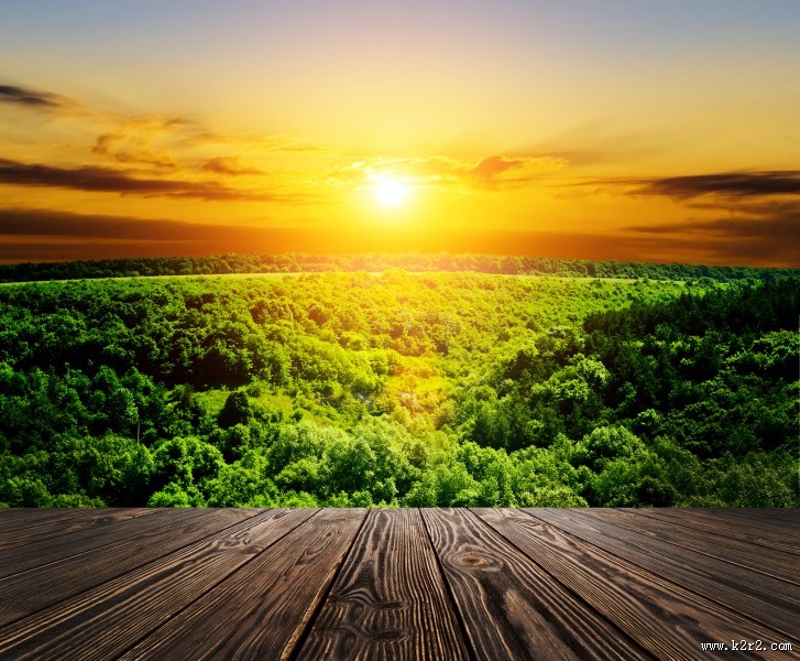 木板树林景色图片