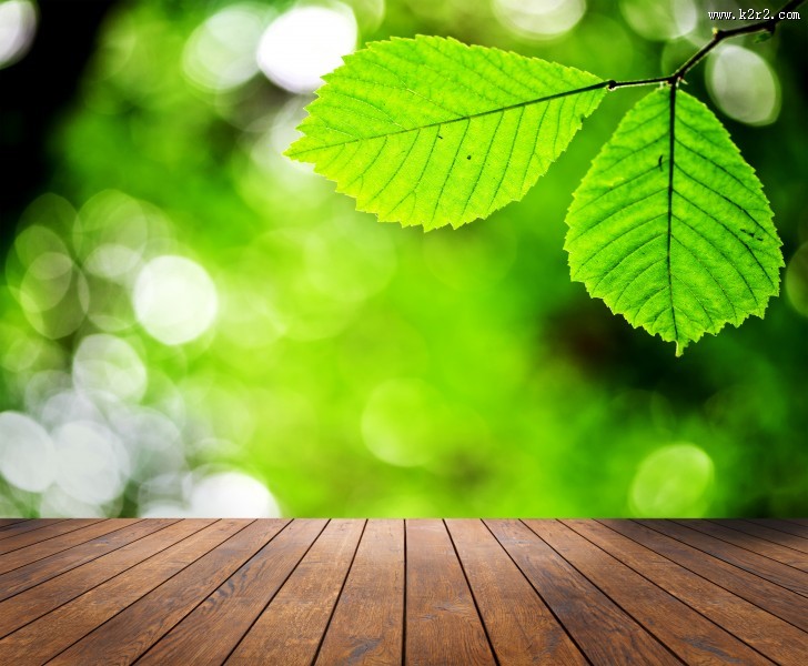 木板树林景色图片