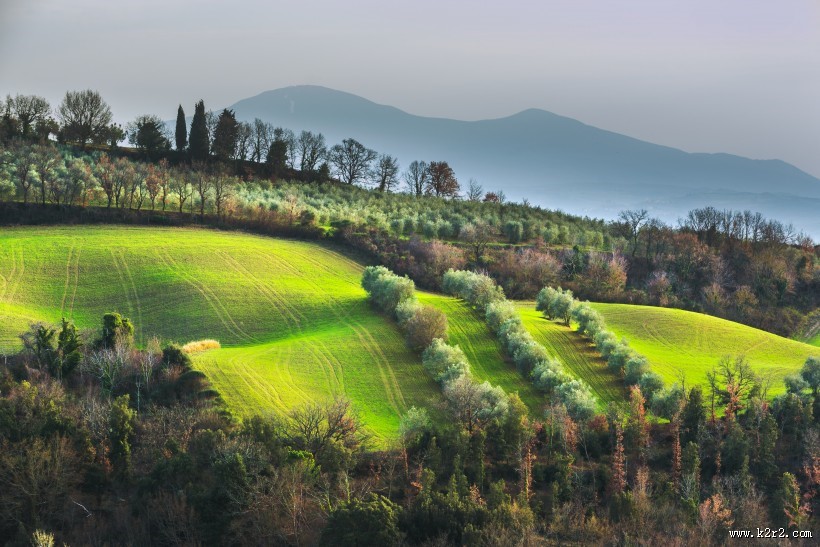 山坡草原图片大全