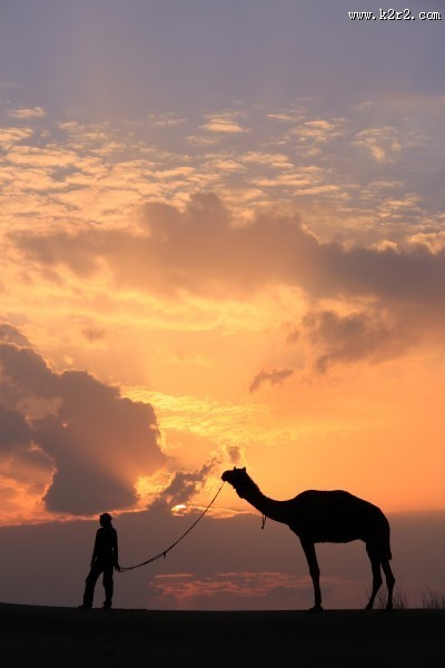 荒漠骆驼人物行走图片