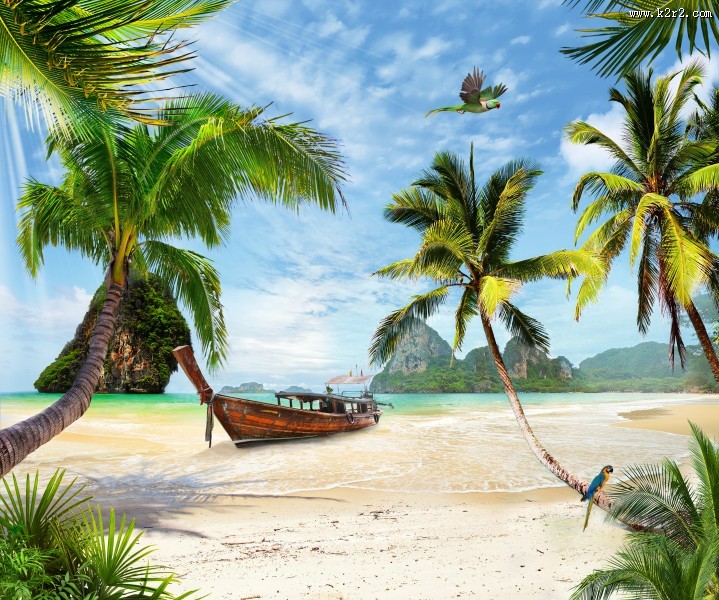 海滩椰子树图片