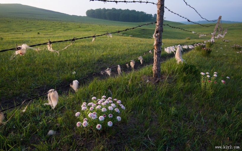 乌兰毛都草原风光图片