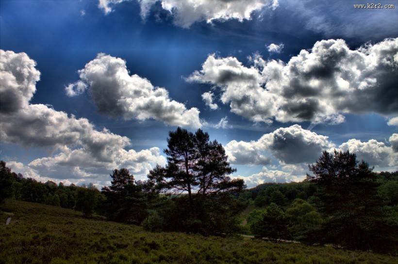 早晨的田野风景图片大全
