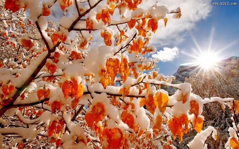唯美雪景冬季风景图片