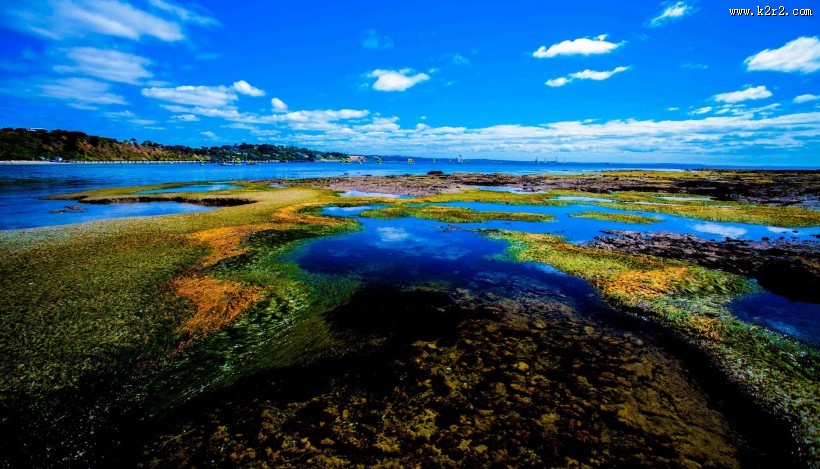 美丽的海湾风光图片大全