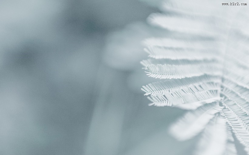 冬日唯美雪景图片