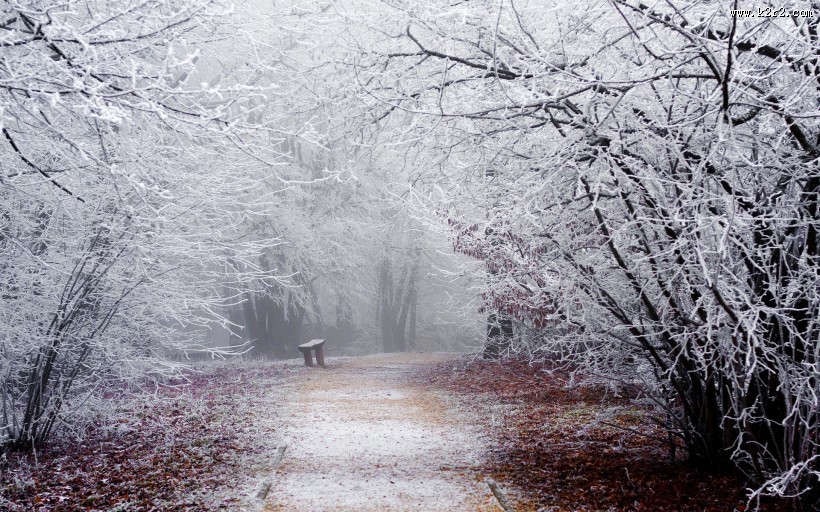 白雪皑皑的景色图片大全