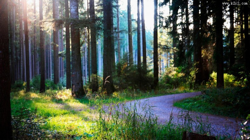 幽静的自然景色图片大全