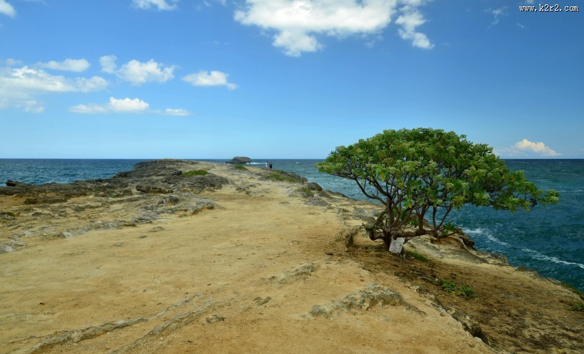 夏威夷海岸风景图片