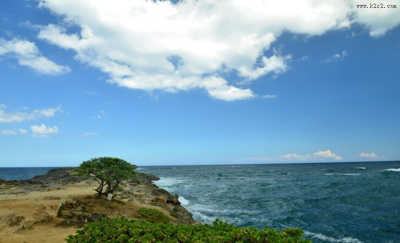 夏威夷海岸风景图片