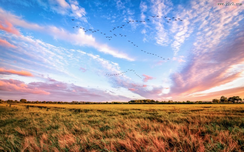 草原上的晚霞图片
