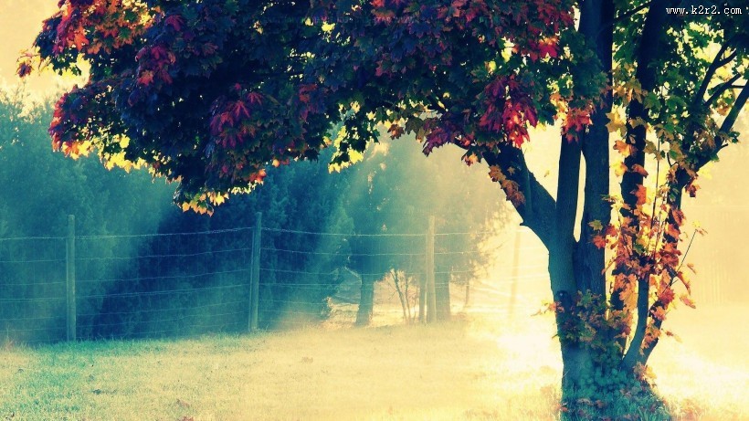 唯美秋天风景图片