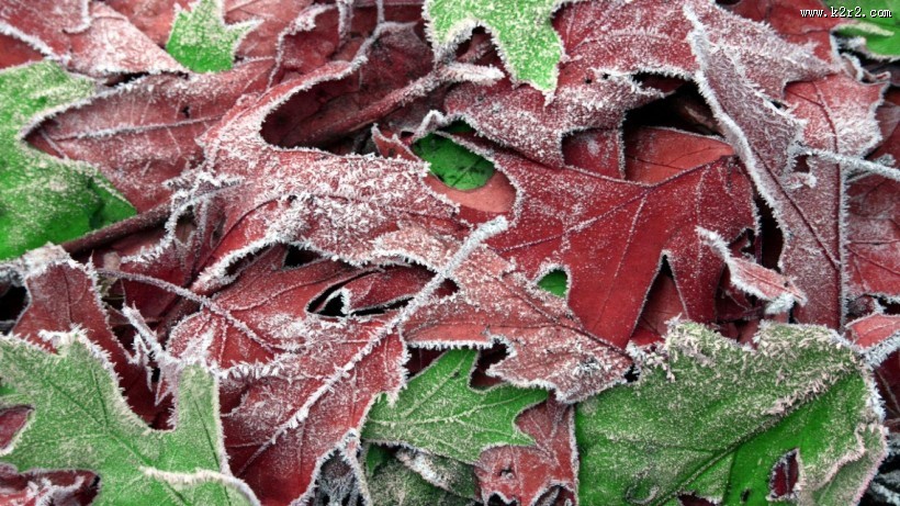 唯美秋天风景图片