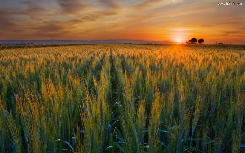 秋天丰收的美景图片大全