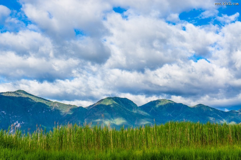 泸沽湖草海风景图片大全