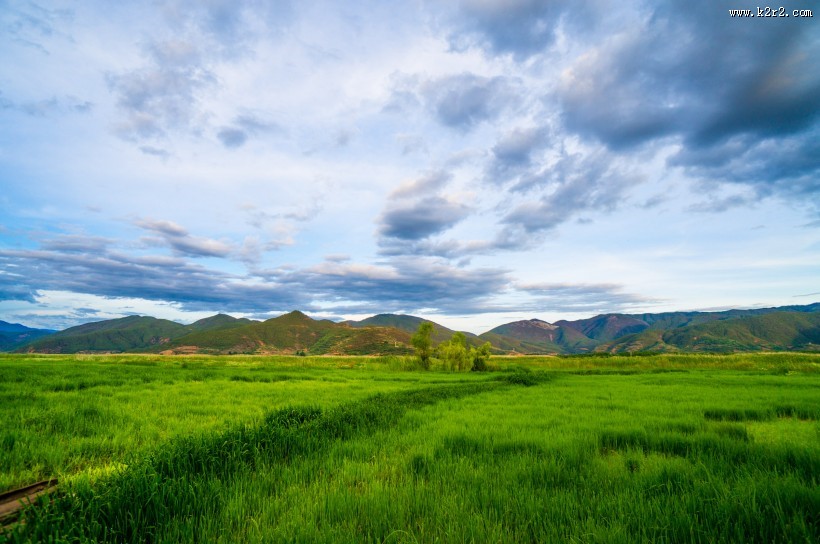 泸沽湖草海风景图片大全