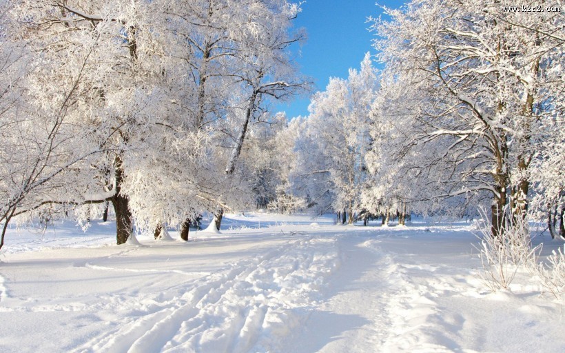 唯美的冬季雪景图片大全
