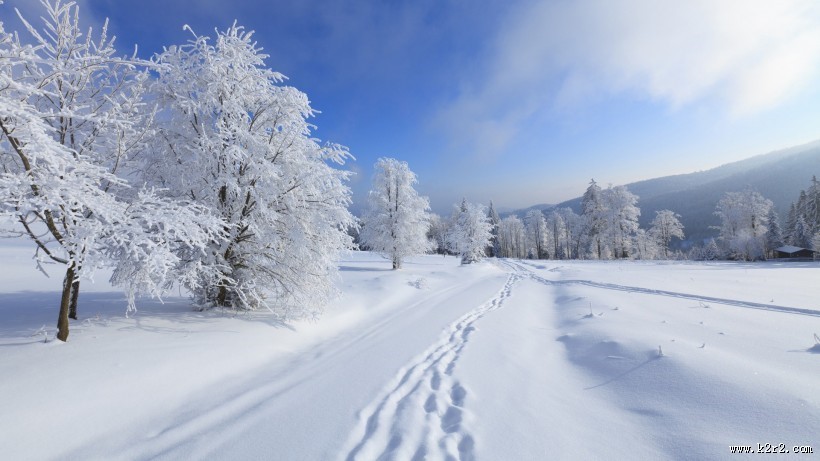大雪纷飞的冬季美景图片