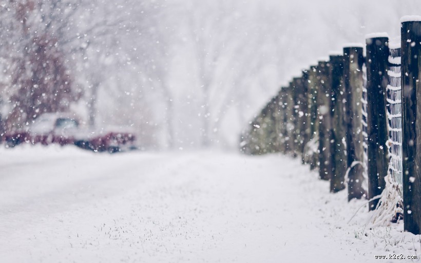 大雪纷飞的冬季美景图片