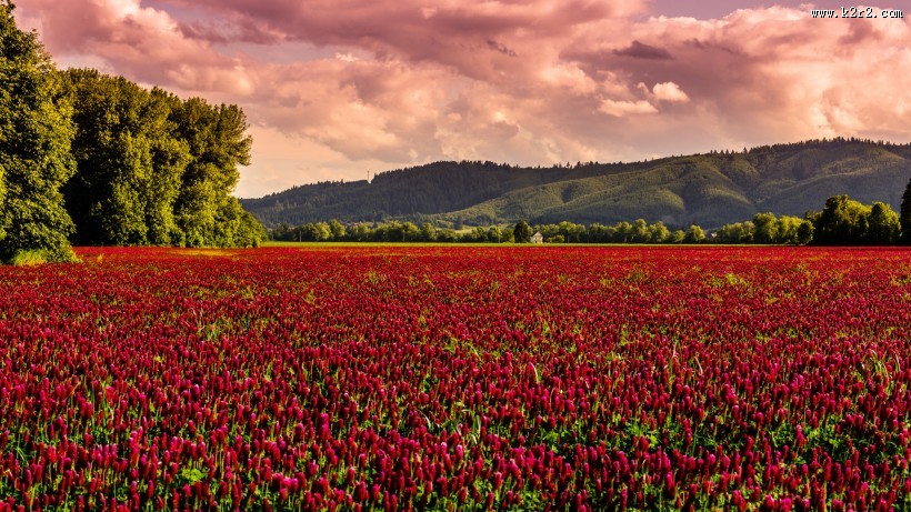 乡村自然风光图片大全