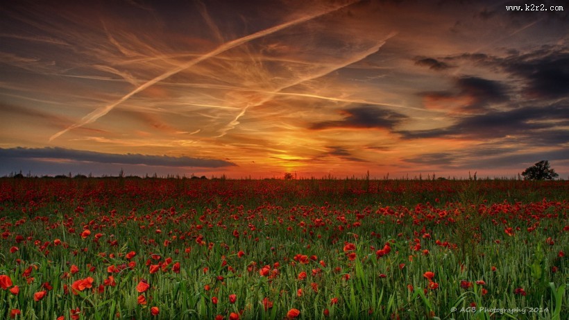 乡村自然风光图片大全