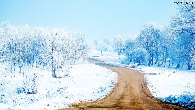 冬日雪景图片