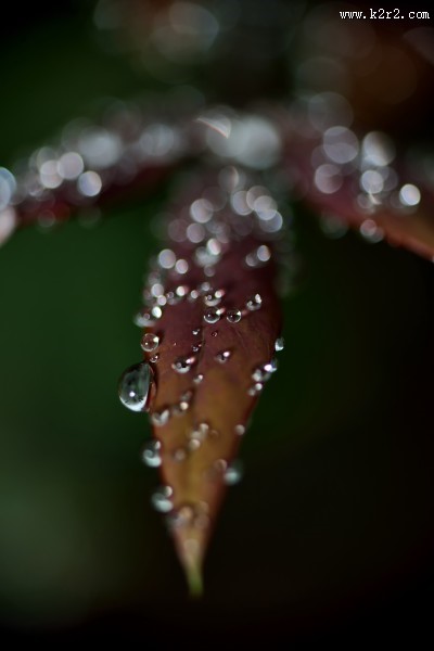 微世界风景图片