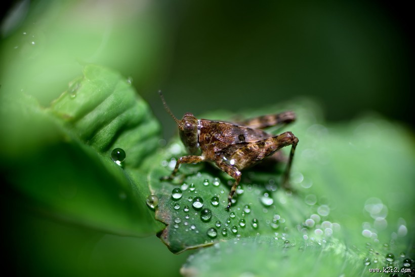 微世界风景图片