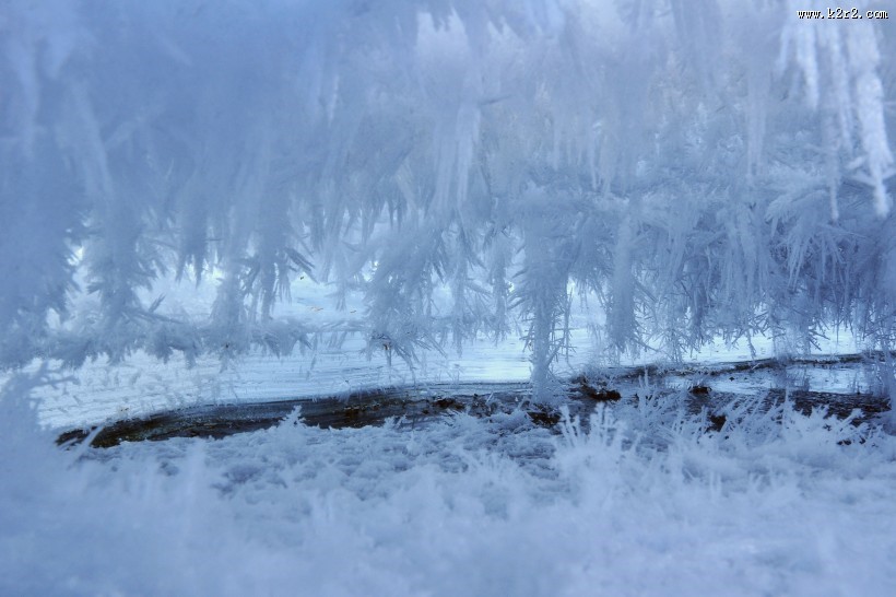 白色冰雪世界风景图片