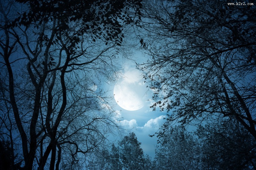 月圆之夜