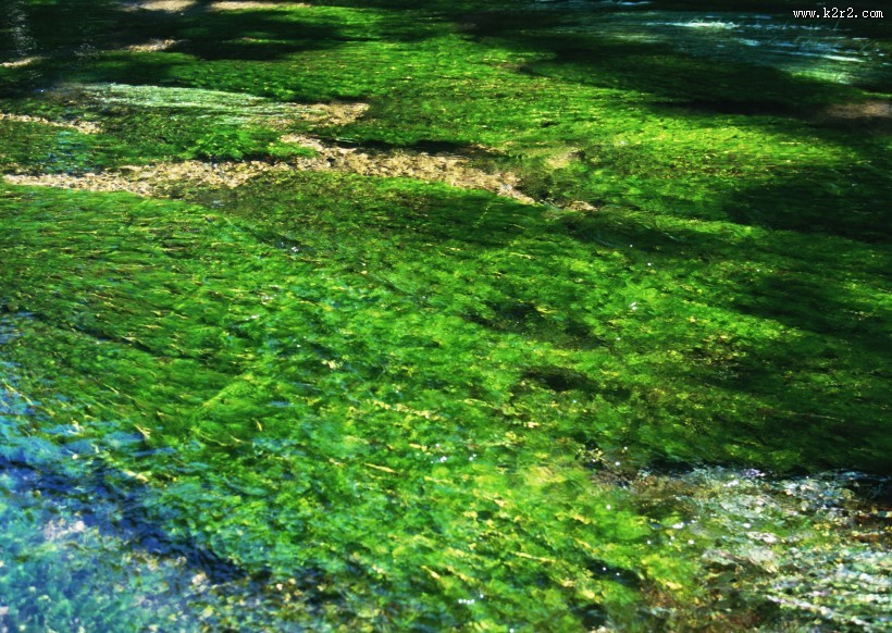 清澈水底图片大全