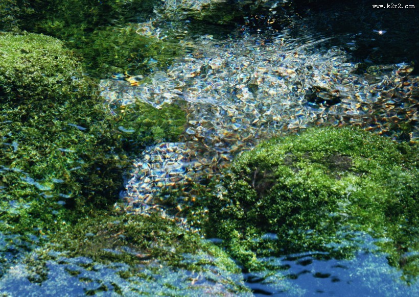 清澈水底图片大全