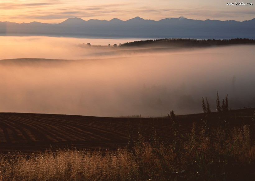 夕阳迷雾风景图片大全