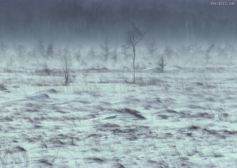 冬季树木河流风景图片