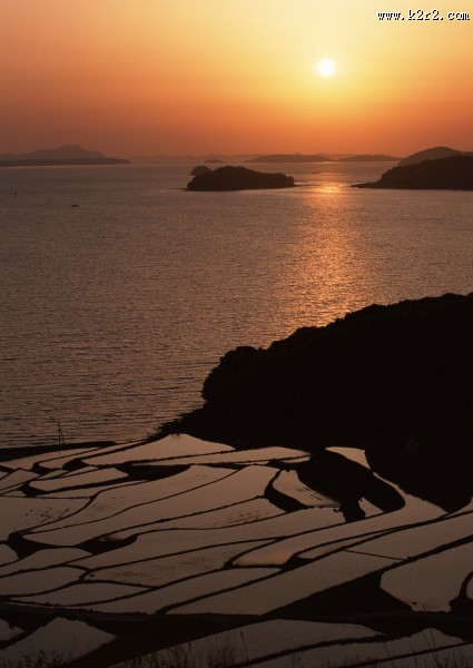 夕阳下的梯田图片