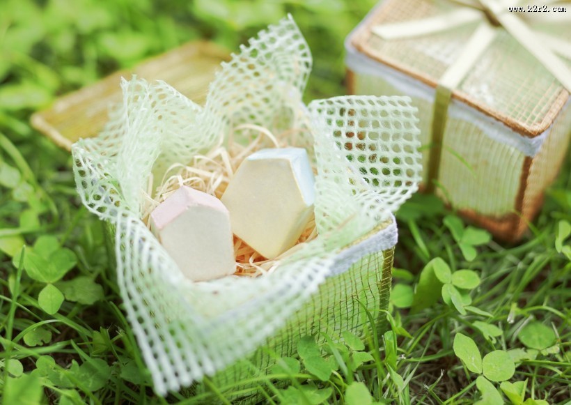 夏季花朵素材图片