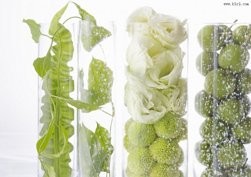 夏季花朵素材图片