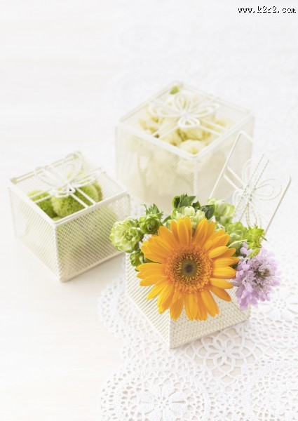 夏季花朵素材图片