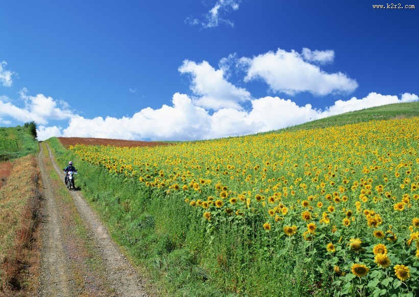 人与绿色大自然图片