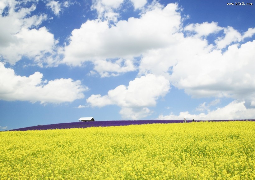 人与绿色大自然图片