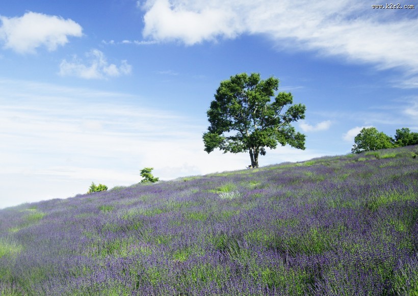 人与绿色大自然图片