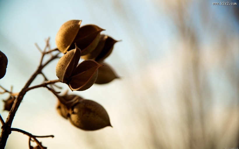 暗色风景图片大全