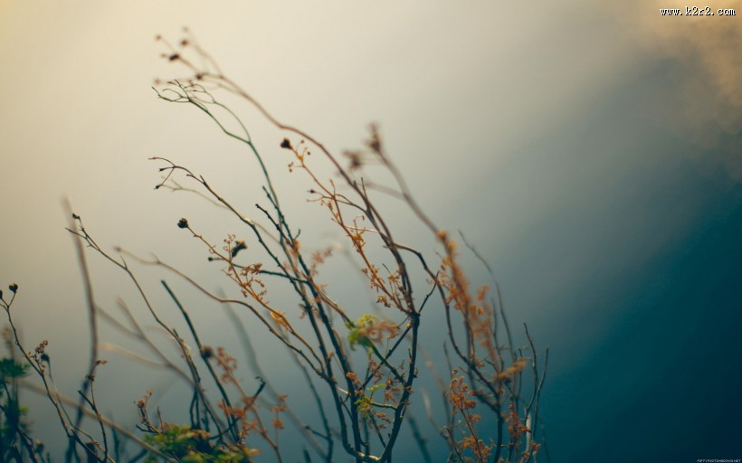 暗色风景图片大全