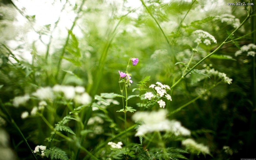 暗色风景图片大全